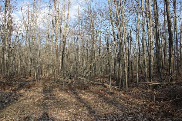 15 Acres of Recreational Land for Sale in Fairview, Michigan