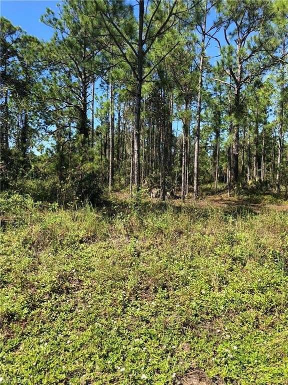 0.28 Acres of Residential Land for Sale in Lehigh Acres, Florida