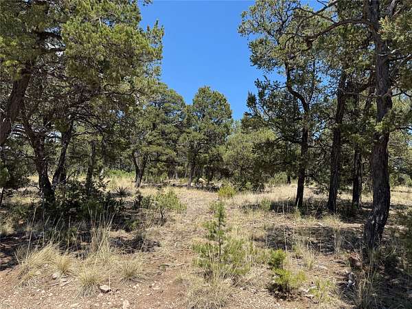 0.5 Acres of Residential Land for Sale in Pecos, New Mexico