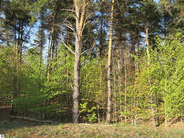 0.6 Acres of Residential Land for Sale in Petoskey, Michigan