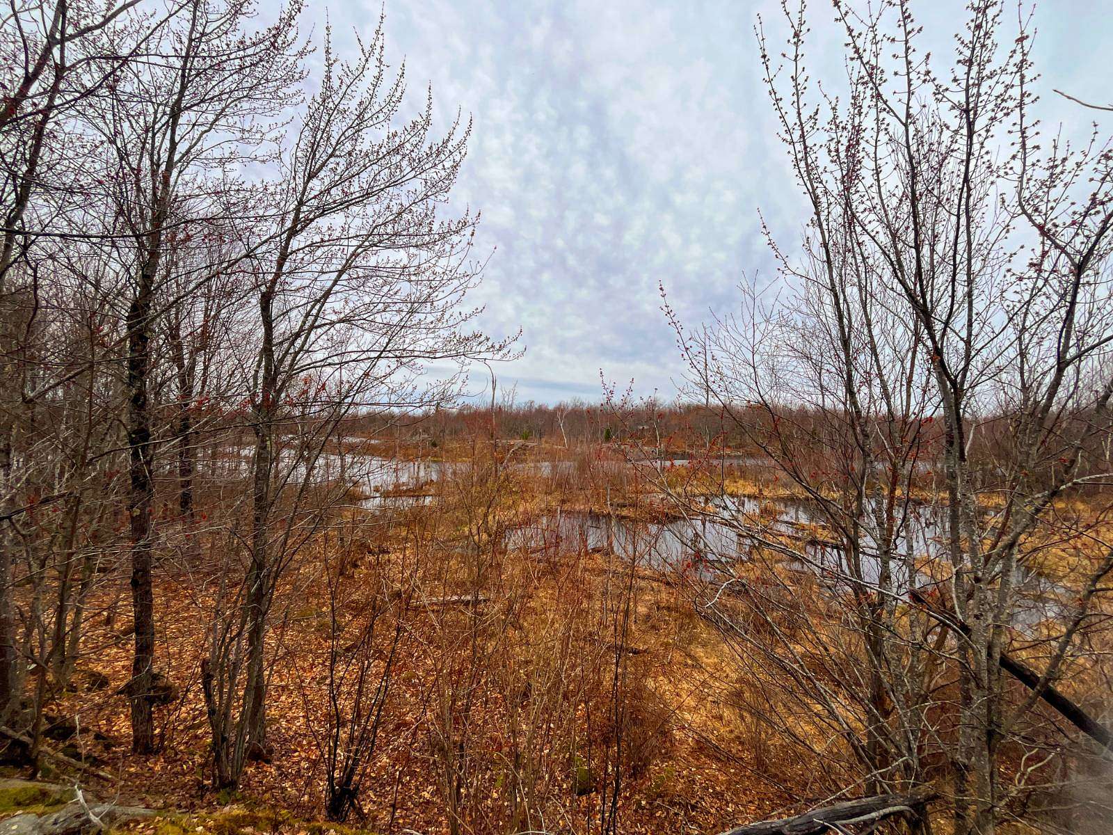 94 Acres of Recreational Land for Sale in Hopkinton, New York