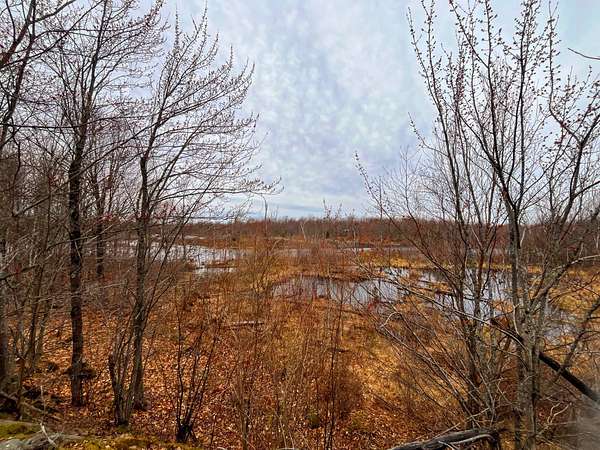 94 Acres of Recreational Land for Sale in Hopkinton, New York