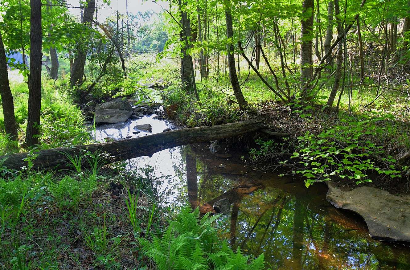 6 Acres of Land for Sale in Monteagle, Tennessee