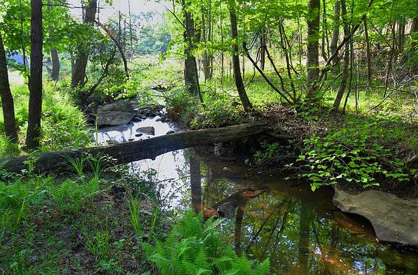 6 Acres of Land for Sale in Monteagle, Tennessee