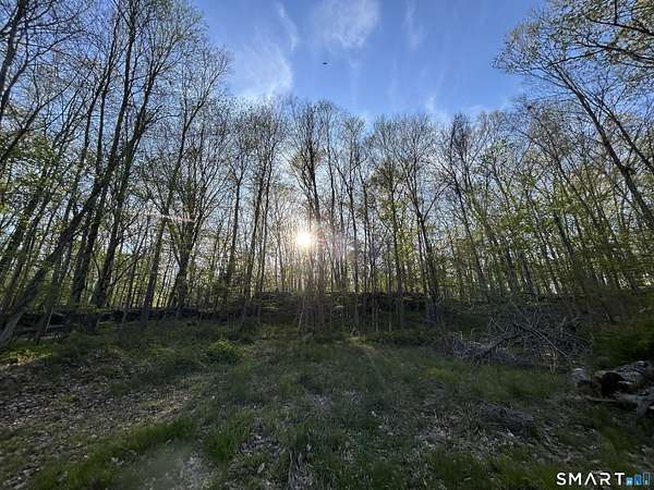 63.2 Acres of Recreational & Residential Land for Sale in Sprague Town, Connecticut