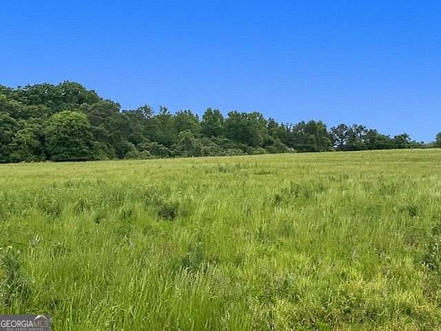 16.4 Acres of Land for Sale in Lavonia, Georgia