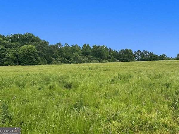 16.4 Acres of Land for Sale in Lavonia, Georgia