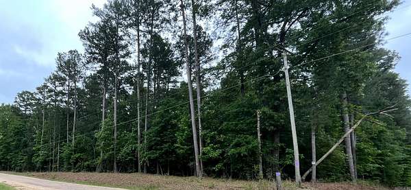 56.5 Acres of Recreational & Residential Land for Sale in Camden, Arkansas