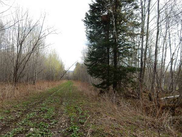 105 Acres of Recreational & Residential Land for Sale in Barton, Vermont