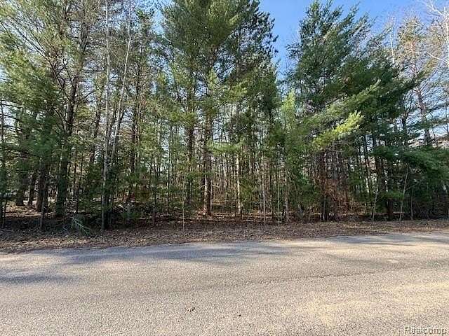 Residential Land for Sale in Wexford Township, Michigan