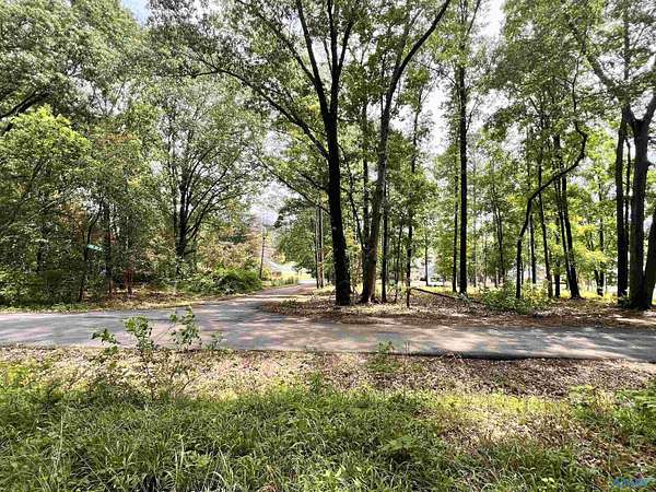 1 Acre of Land for Sale in Owens Cross Roads, Alabama