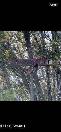 1 Acre of Residential Land for Sale in Concho, Arizona