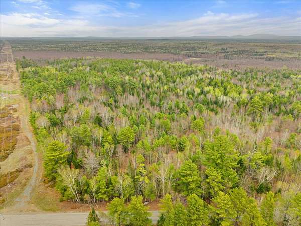 80 Acres of Recreational & Residential Land for Sale in Greenbush, Maine