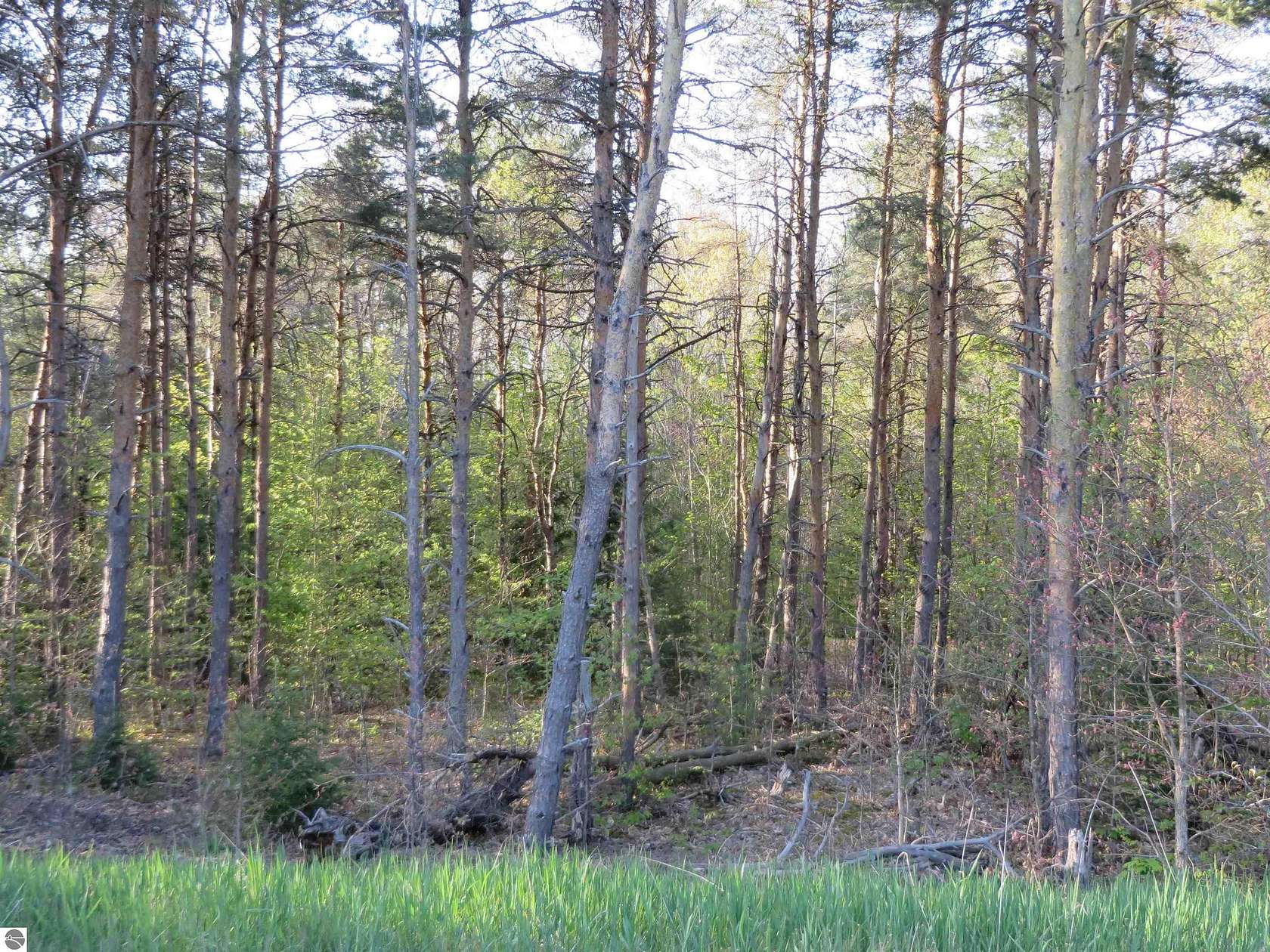 0.8 Acres of Residential Land for Sale in Petoskey, Michigan