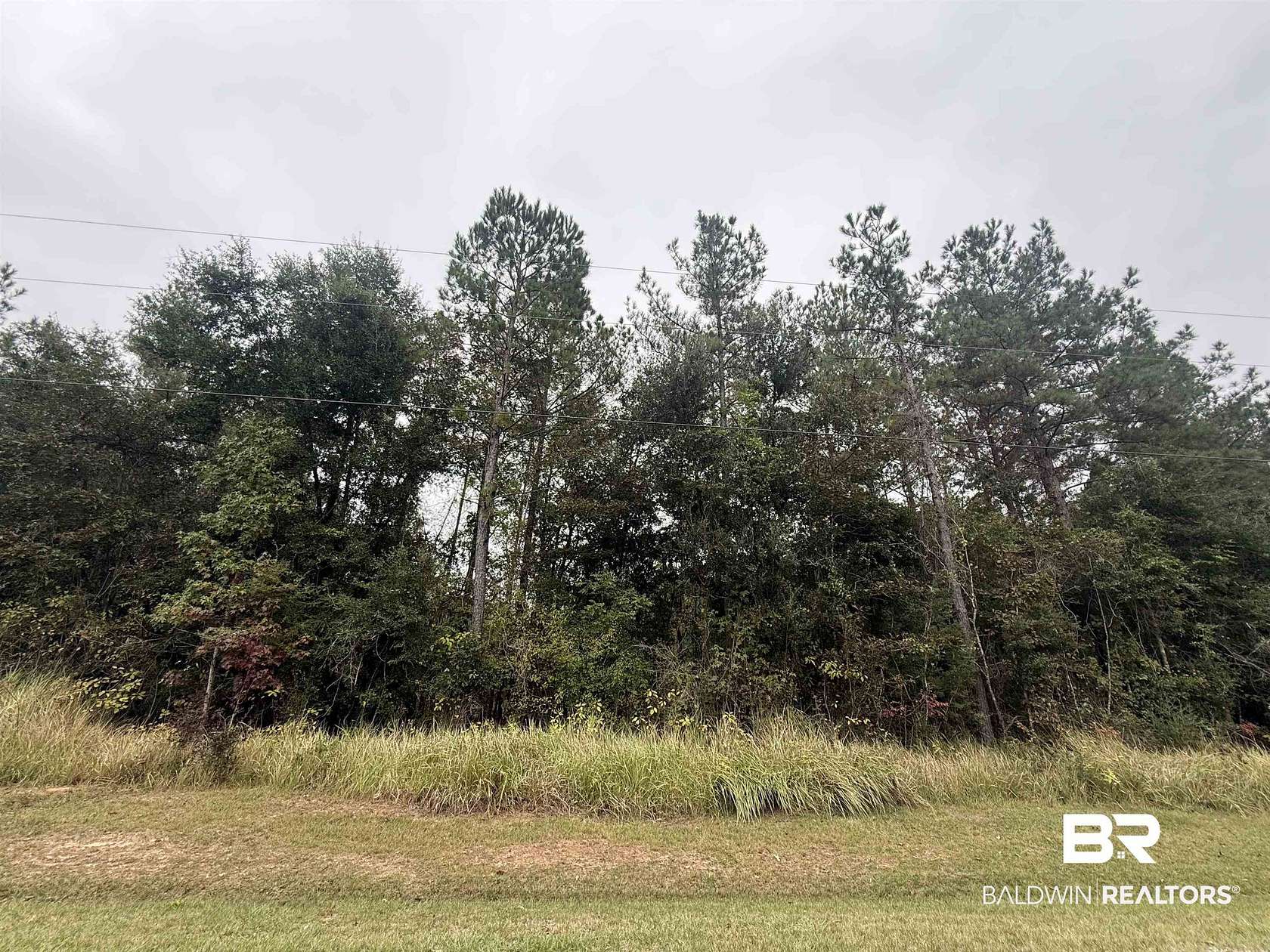 5.6 Acres of Residential Land for Sale in Bay Minette, Alabama