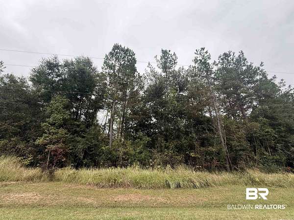 5.6 Acres of Residential Land for Sale in Bay Minette, Alabama
