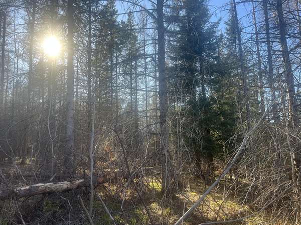 2 Acres of Residential Land for Sale in Pickford, Michigan