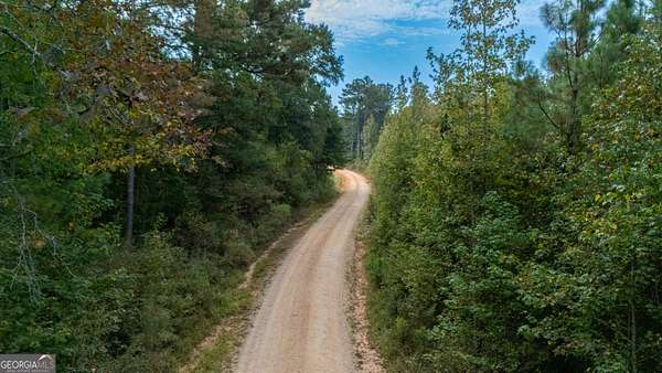 4 Acres of Land for Sale in Roanoke, Alabama