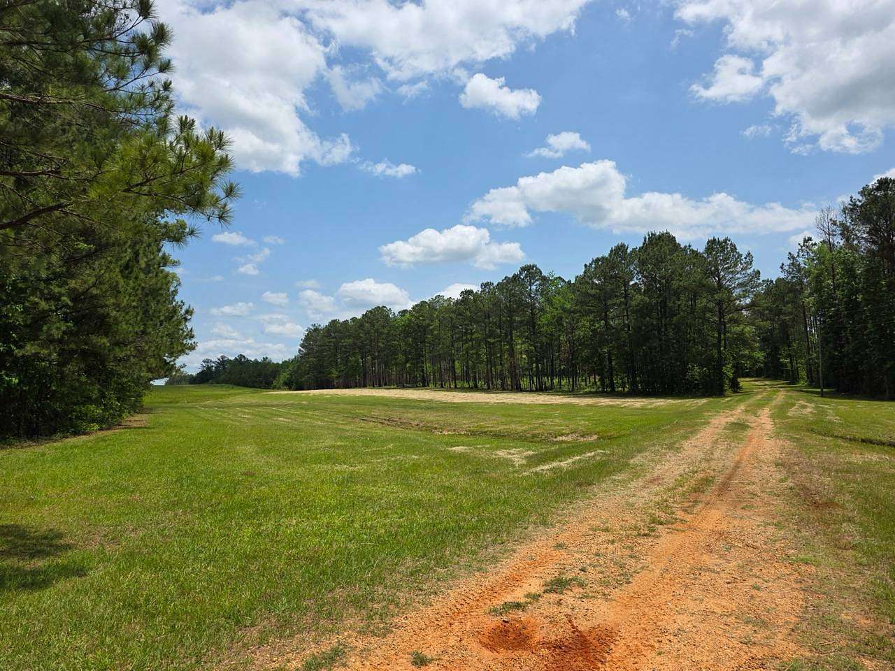 126 Acres of Land for Sale in Rembert, Alabama