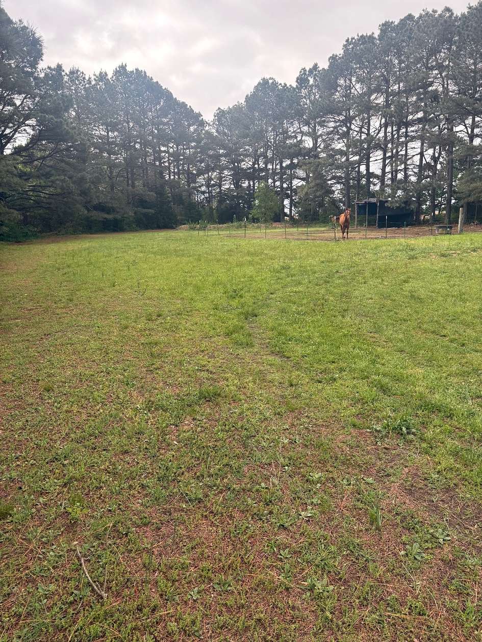 1 Acre of Mixed-Use Land for Sale in Pocahontas, Arkansas