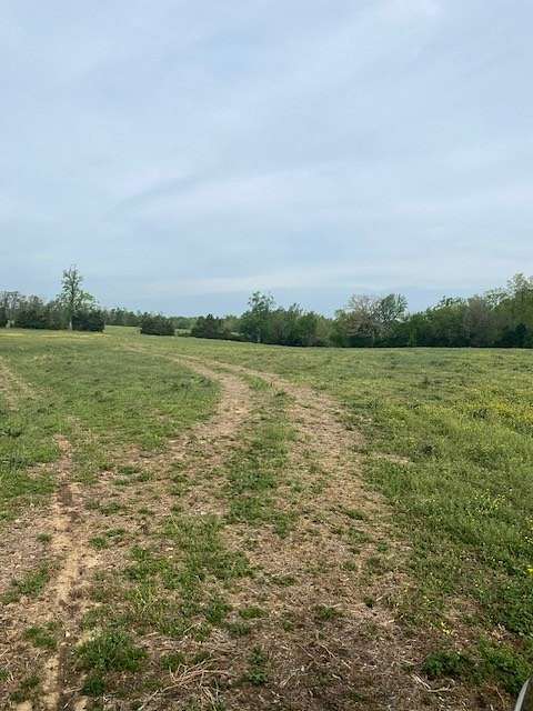 25 Acres of Land for Sale in Lafayette, Tennessee