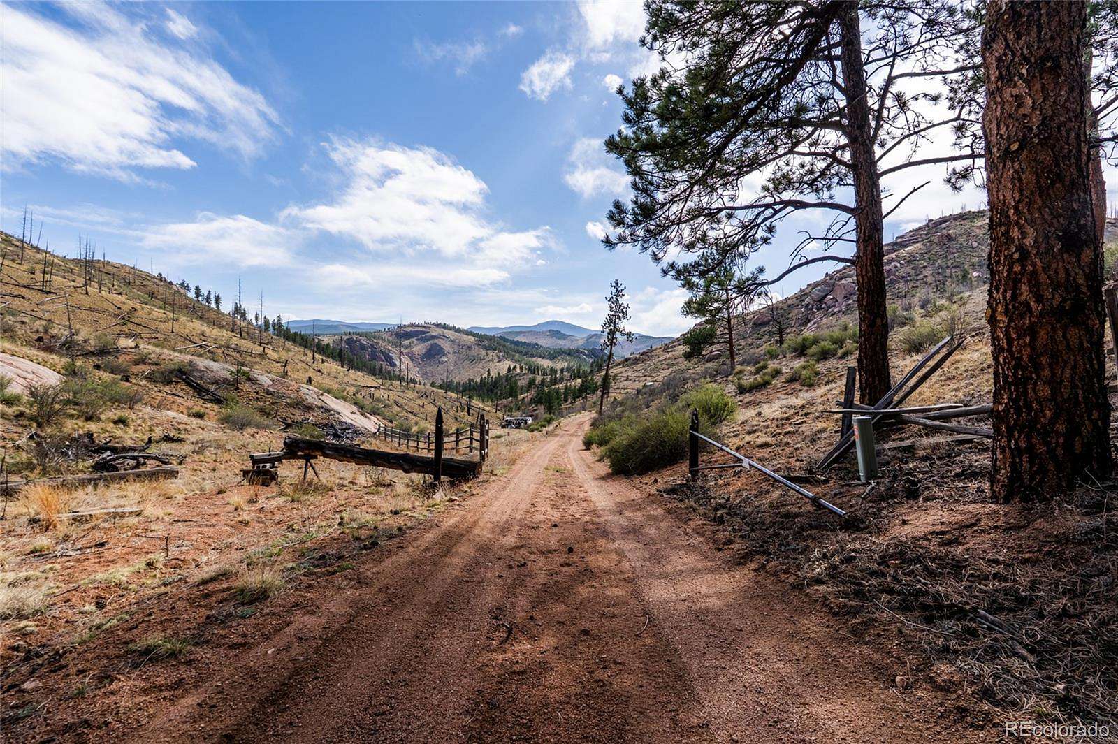 40 Acres of Land for Sale in Pine Grove, Colorado