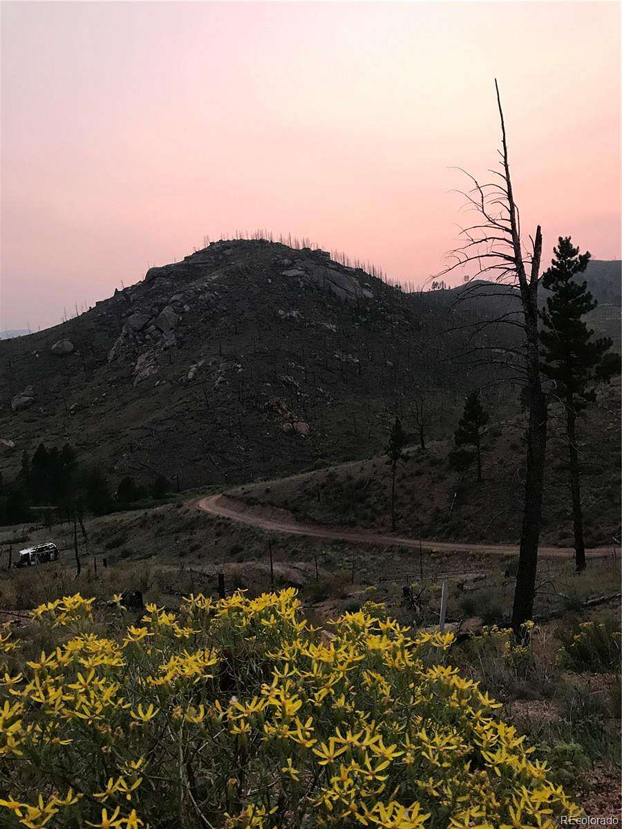 40 Acres of Land for Sale in Pine Grove, Colorado