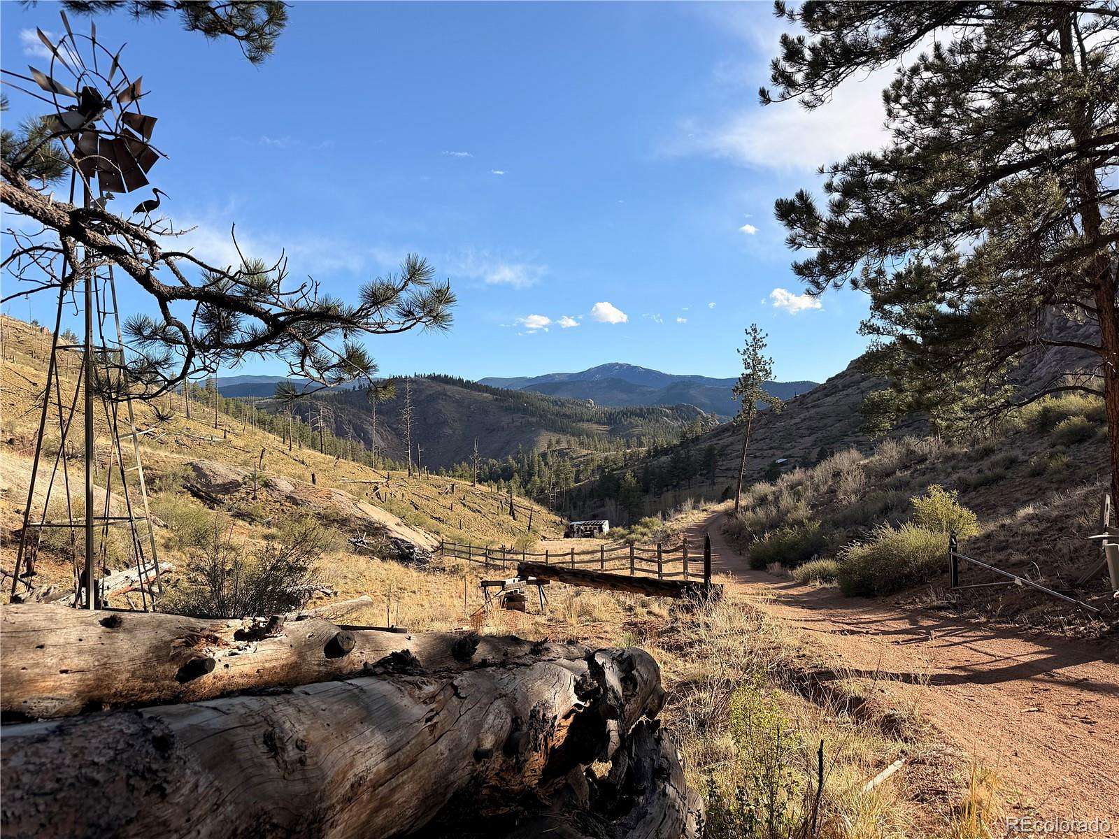 40 Acres of Land for Sale in Pine Grove, Colorado
