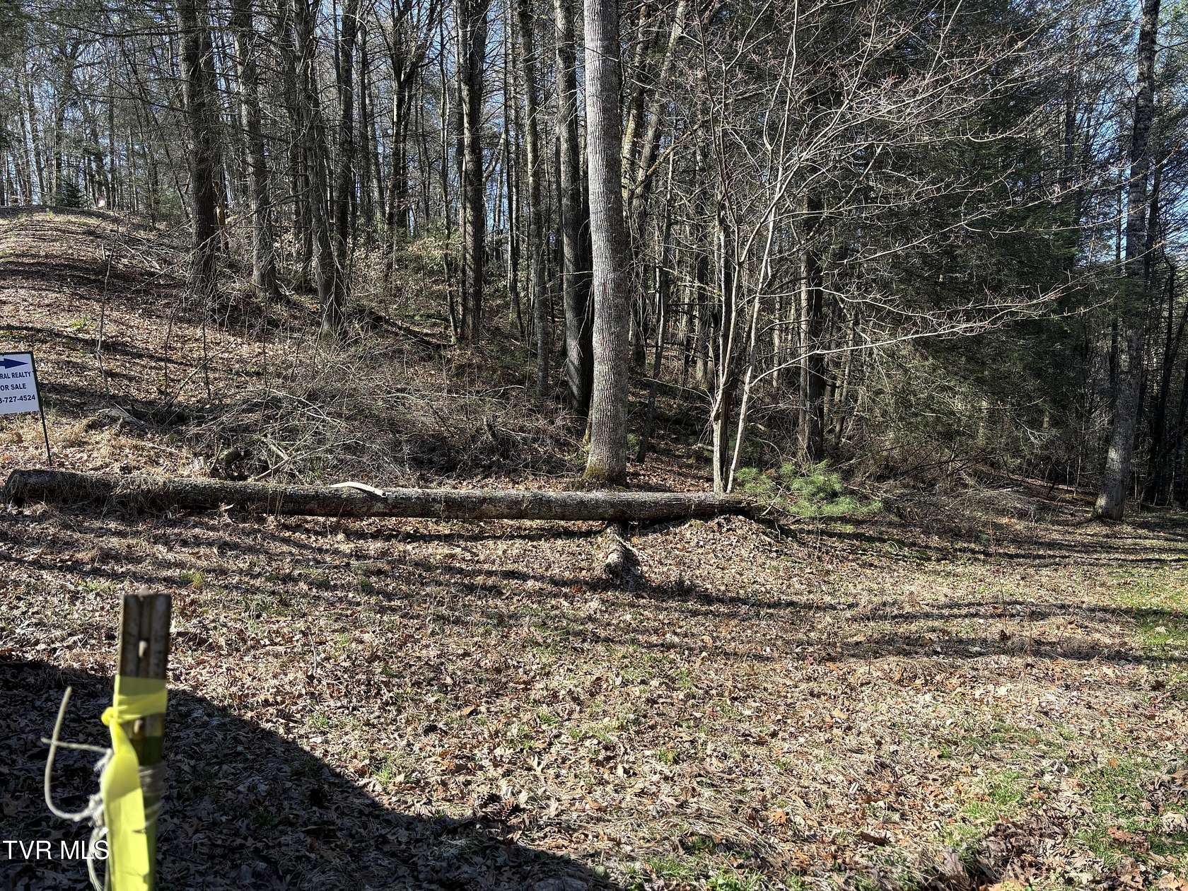 2 Acres of Land for Sale in Laurel Bloomery, Tennessee