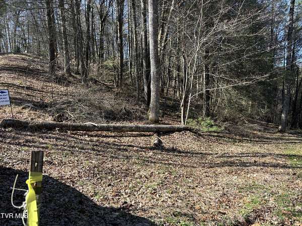 2 Acres of Land for Sale in Laurel Bloomery, Tennessee