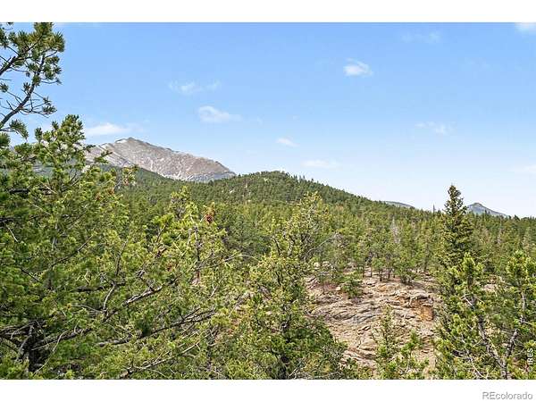51 Acres of Recreational Land for Sale in Allenspark, Colorado