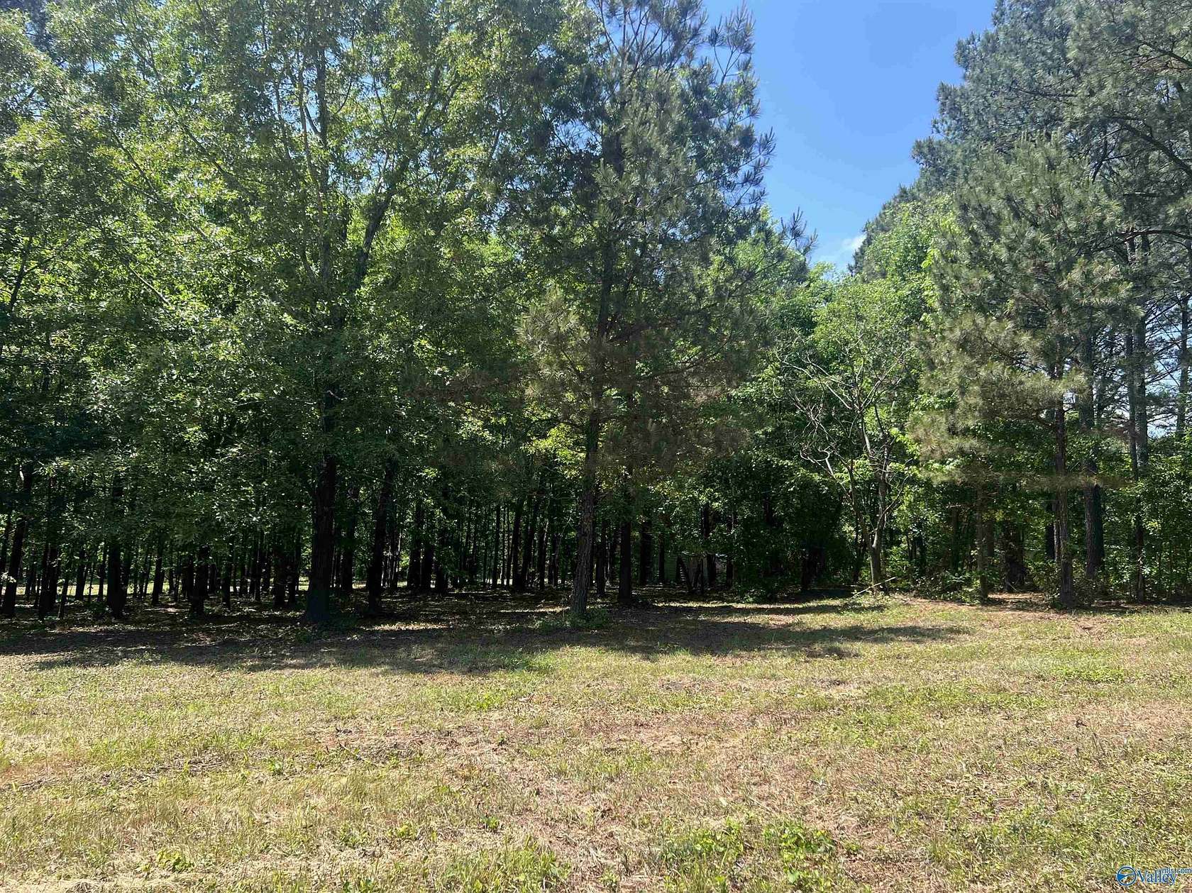 1.14 Acres of Residential Land for Sale in Cedar Bluff, Alabama