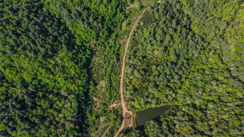 80 Acres of Agricultural & Residential Land for Sale in Mineral Bluff, Georgia