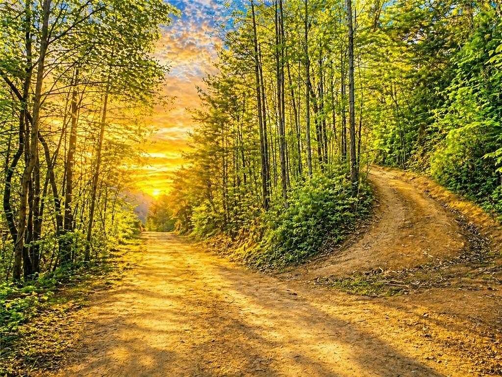 80 Acres of Agricultural & Residential Land for Sale in Mineral Bluff, Georgia