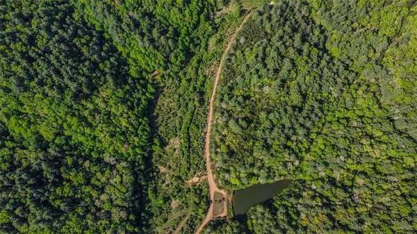 80 Acres of Agricultural & Residential Land for Sale in Mineral Bluff, Georgia