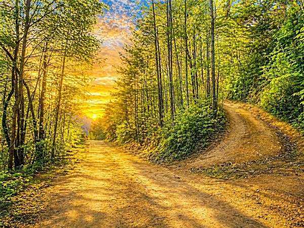 80 Acres of Agricultural & Residential Land for Sale in Mineral Bluff, Georgia