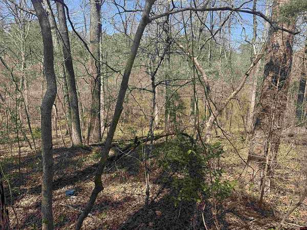 0.4 Acres of Land for Sale in Salesville, Arkansas