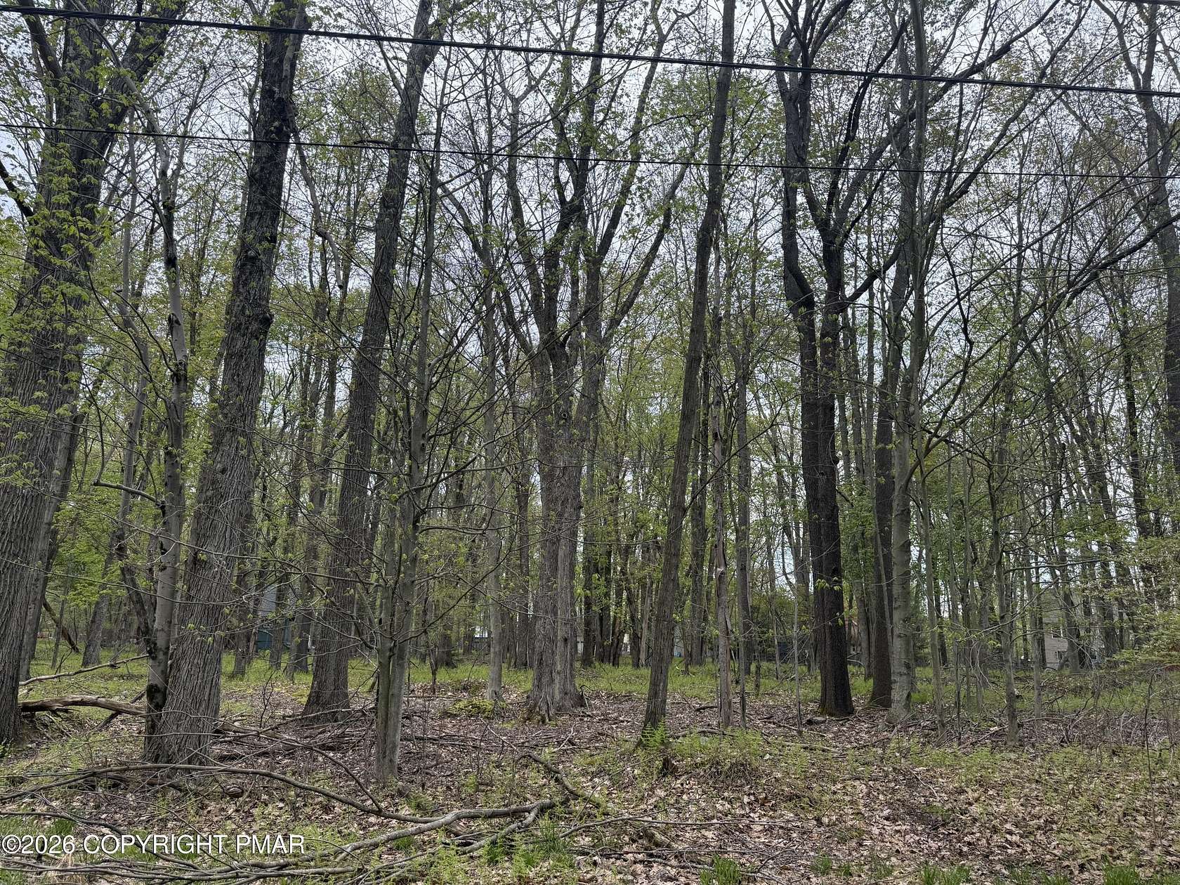 0.11 Acres of Residential Land for Sale in Pocono Lake, Pennsylvania