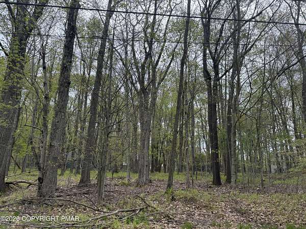 0.11 Acres of Residential Land for Sale in Pocono Lake, Pennsylvania