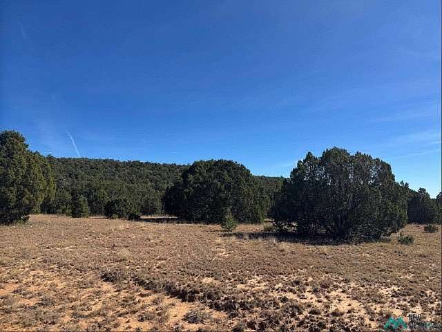 640 Acres of Land for Sale in Serafina, New Mexico