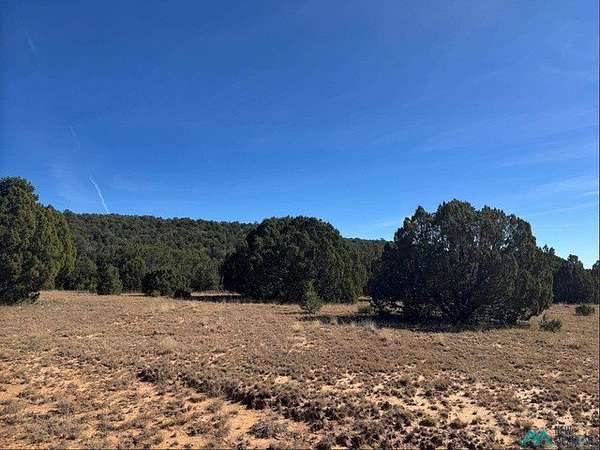 640 Acres of Land for Sale in Serafina, New Mexico