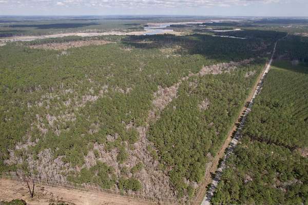 5.49 Acres of Residential Land for Sale in Georgetown, South Carolina
