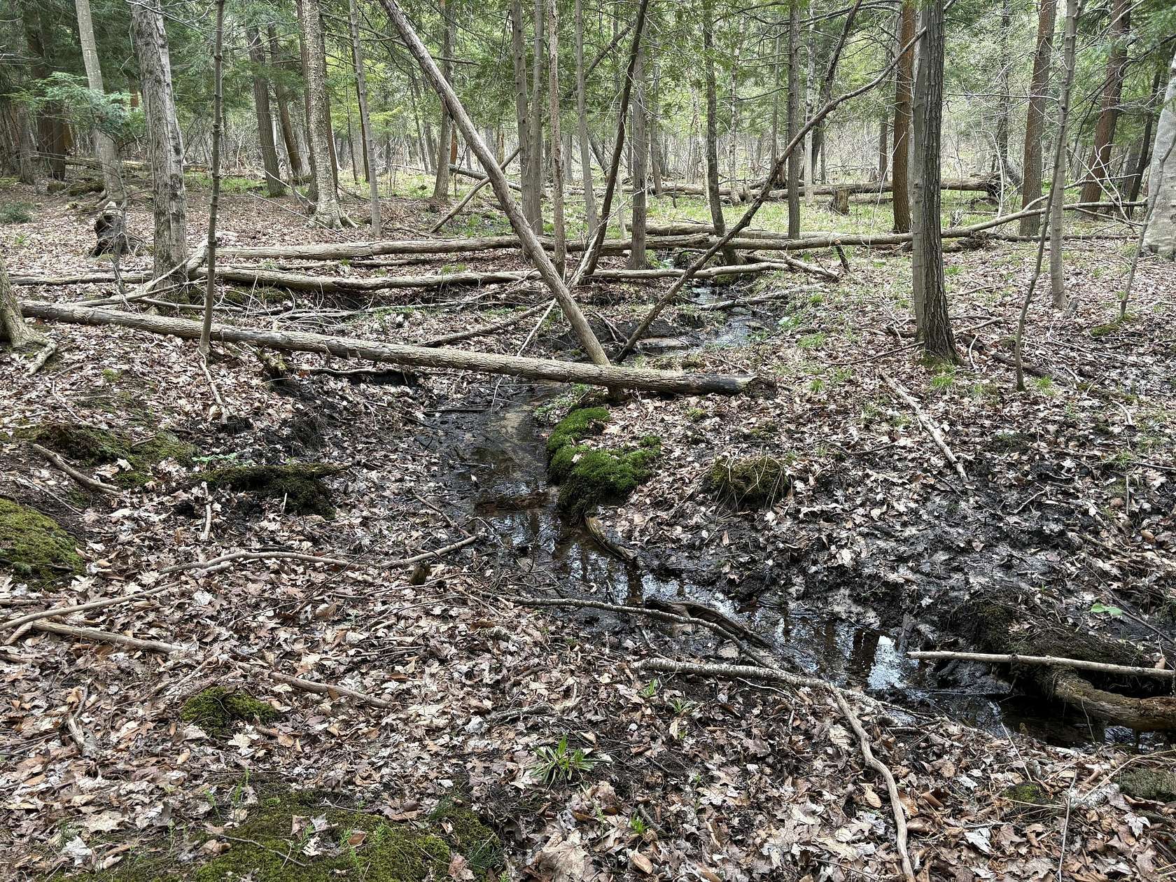 2.7 Acres of Residential Land for Sale in Shelby, Michigan