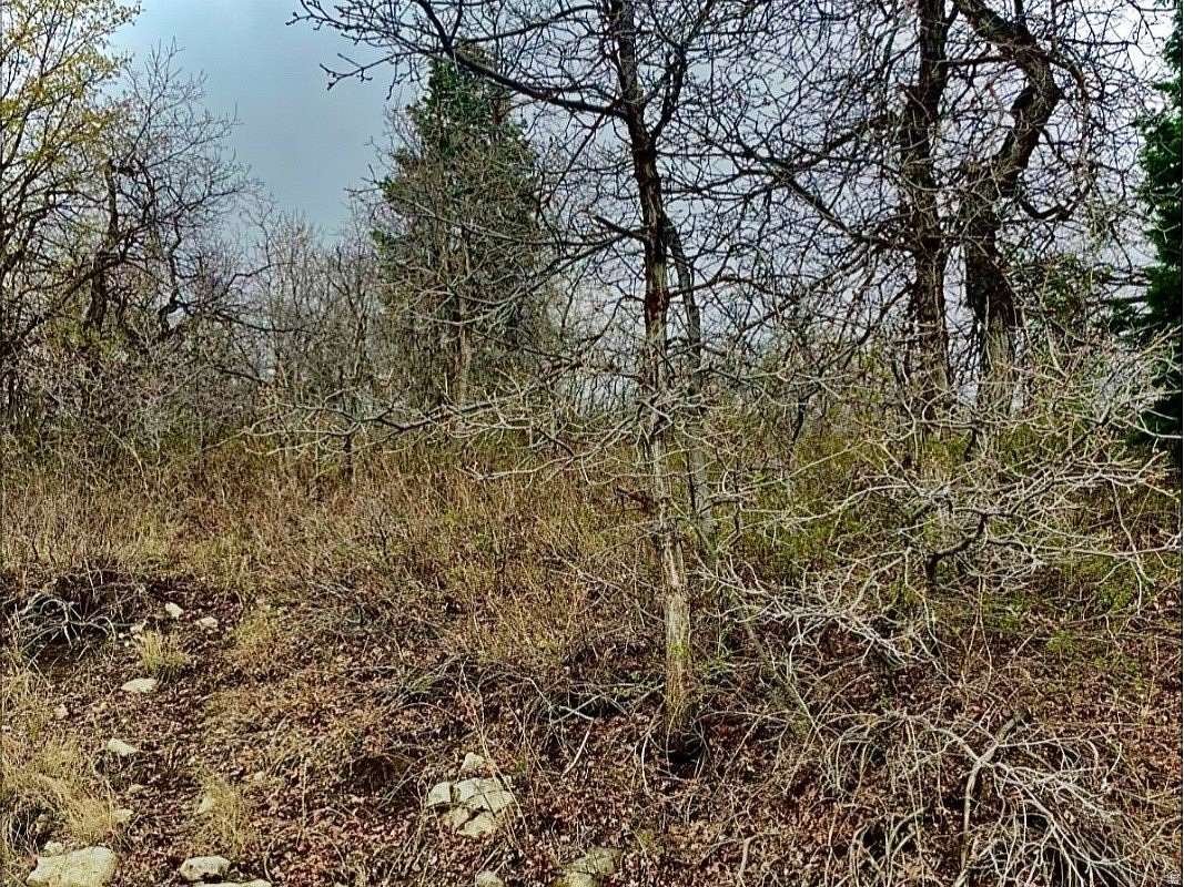 1.13 Acres of Land for Sale in Mount Pleasant, Utah