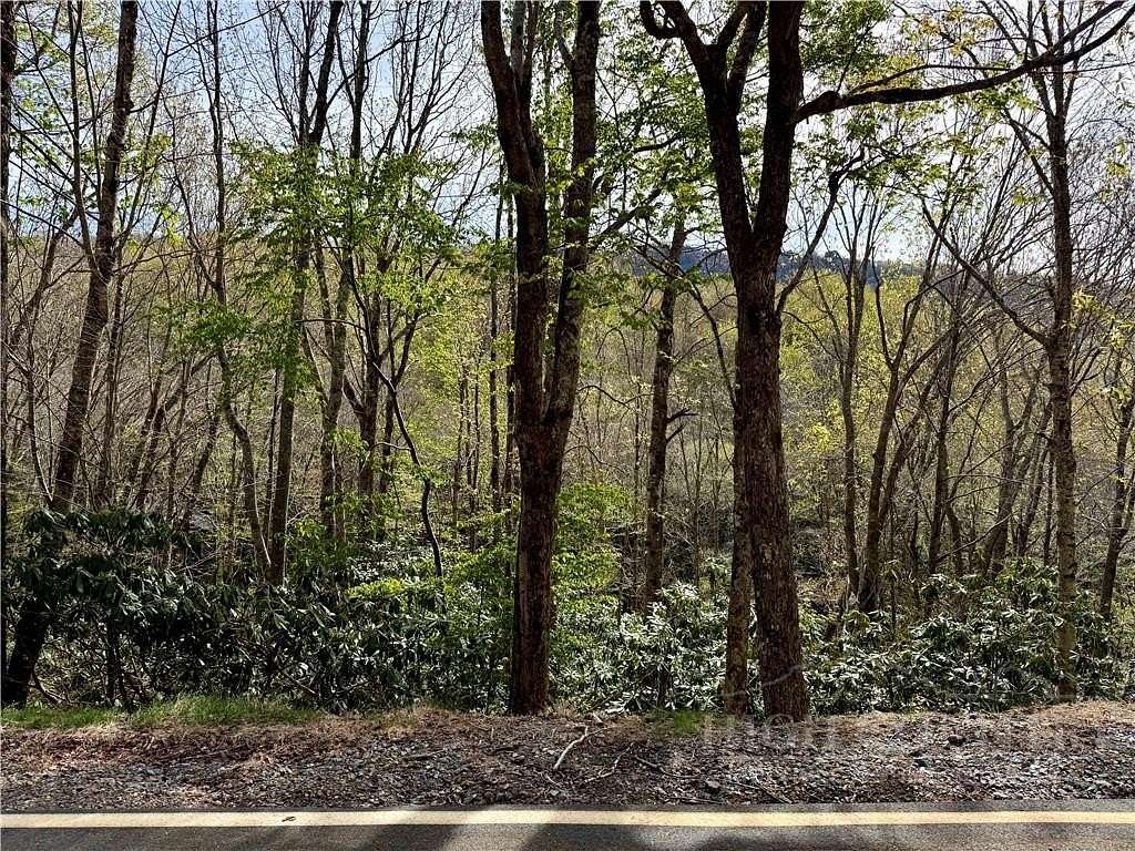 0.34 Acres of Land for Sale in Beech Mountain, North Carolina