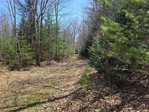 113 Acres of Recreational Land for Sale in West Paris, Maine
