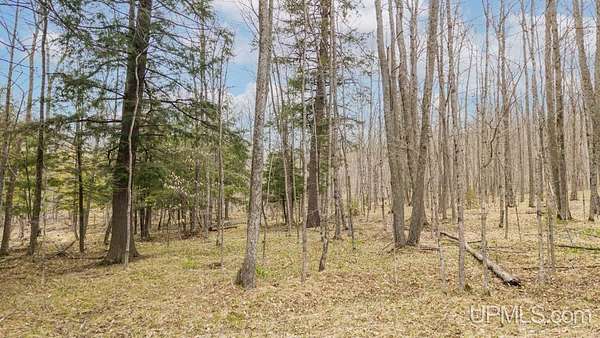 79 Acres of Land for Sale in Vulcan, Michigan