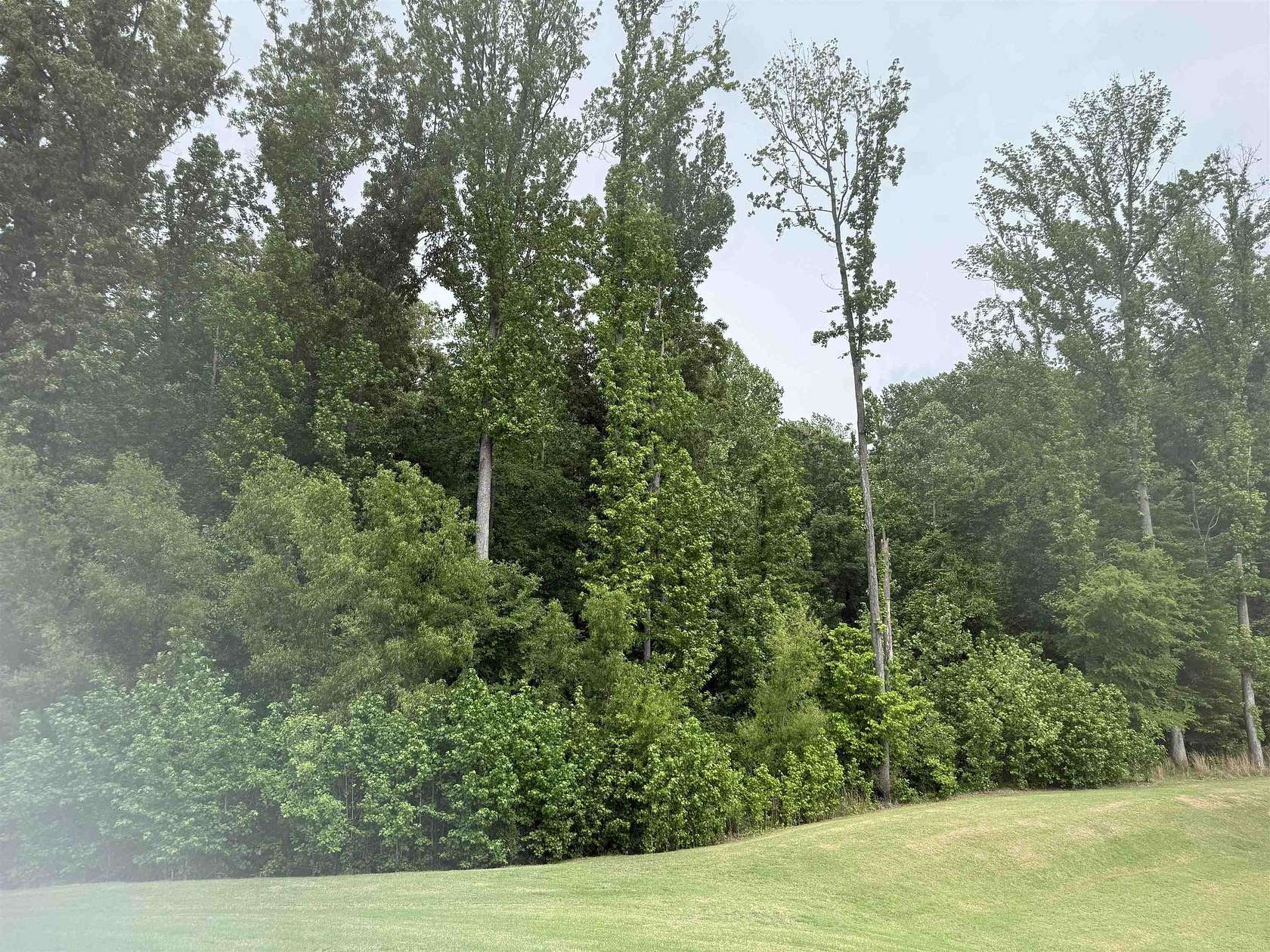 23 Acres of Recreational & Residential Land for Sale in Bartlett, Tennessee