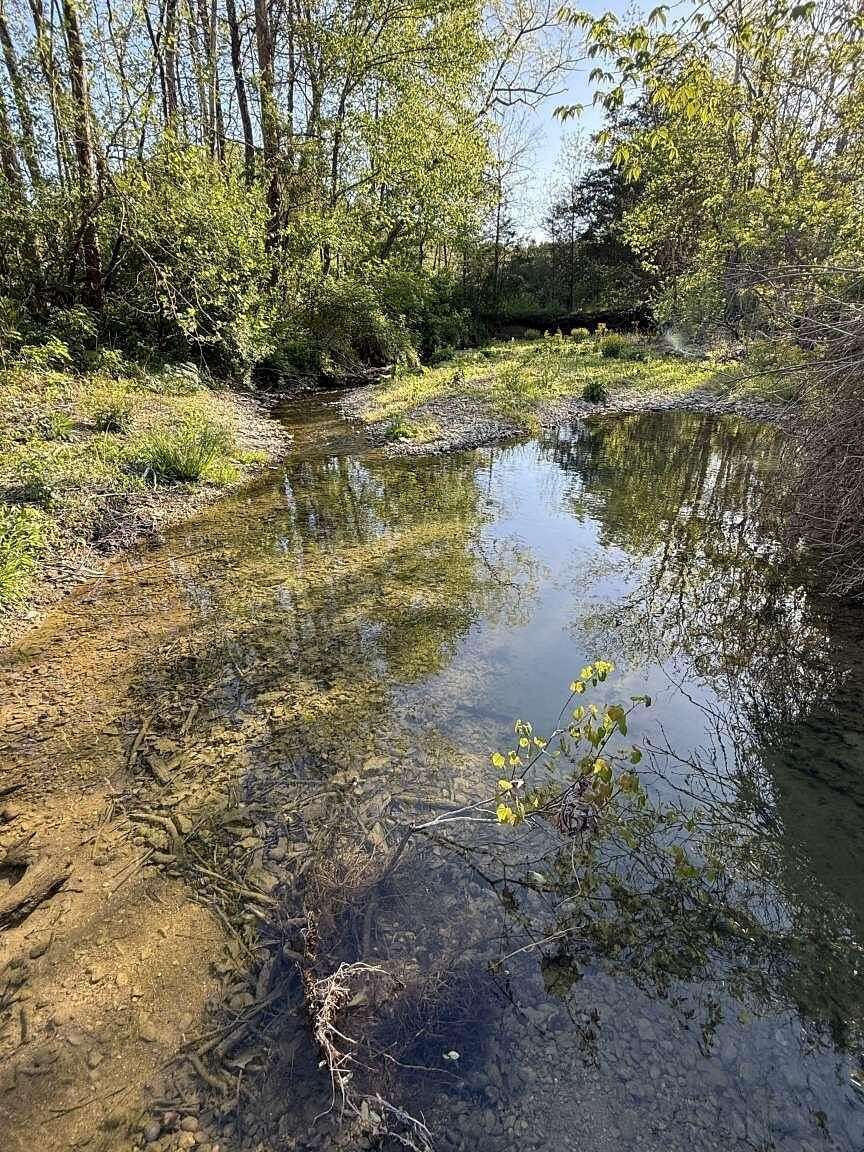 80 Acres of Recreational Land for Sale in Liberty, Kentucky