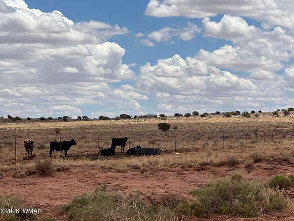 113 Acres of Recreational & Residential Land for Sale in Snowflake, Arizona
